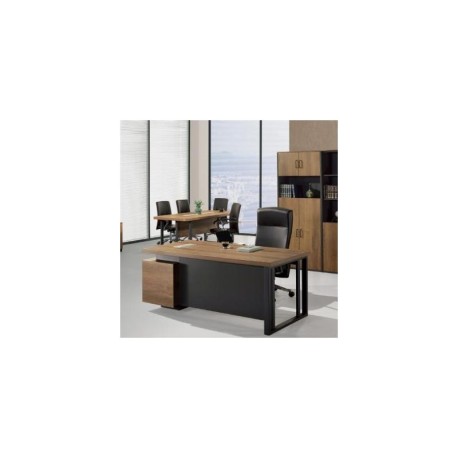 CONJUNTO CEO SAFETY